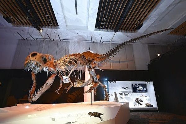 当日・平日夜】DinoScience 恐竜科学博 2023@TOKYO MIDTOWN｜アソビュー！