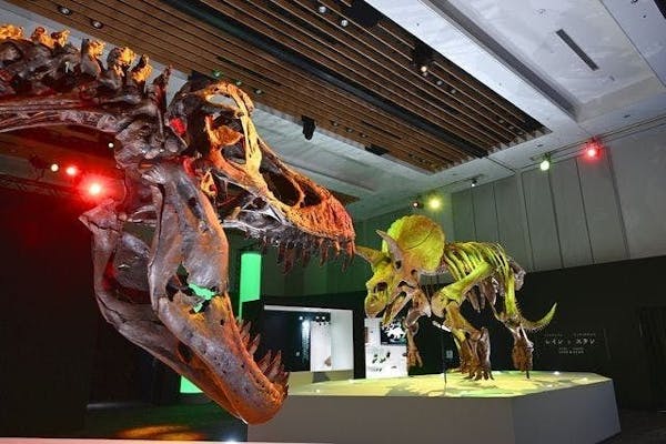 当日・平日夜】DinoScience 恐竜科学博 2023@TOKYO MIDTOWN｜アソビュー！