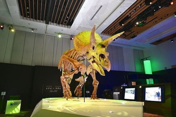 当日・平日夜】DinoScience 恐竜科学博 2023@TOKYO MIDTOWN｜アソビュー！