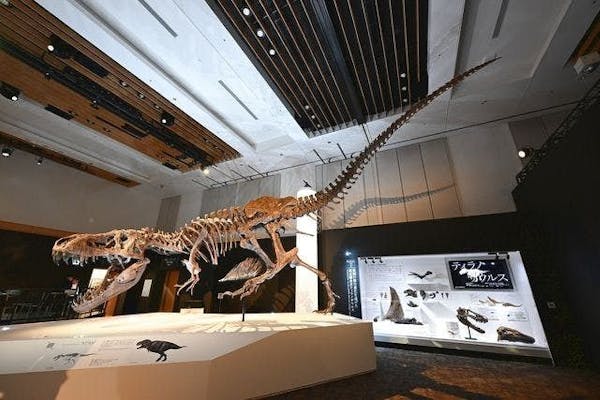 当日・平日夜】DinoScience 恐竜科学博 2023@TOKYO MIDTOWN｜アソビュー！