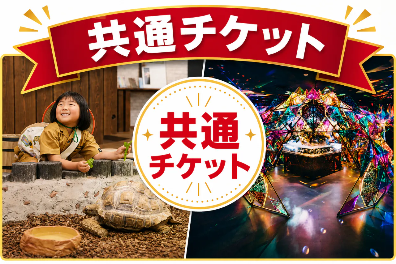 プランの写真