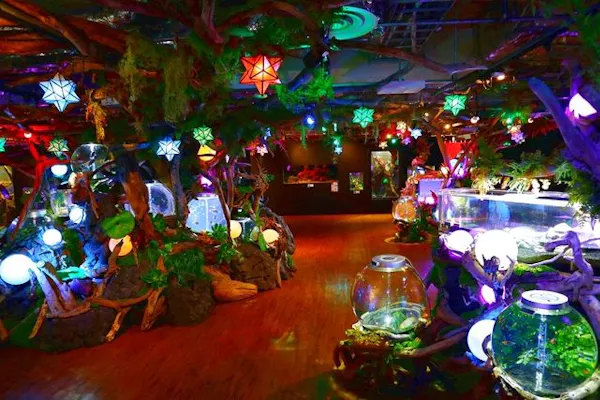 熱帯魚すくい付き】2館共通券（奈良いきものミュージアム × 奈良金魚