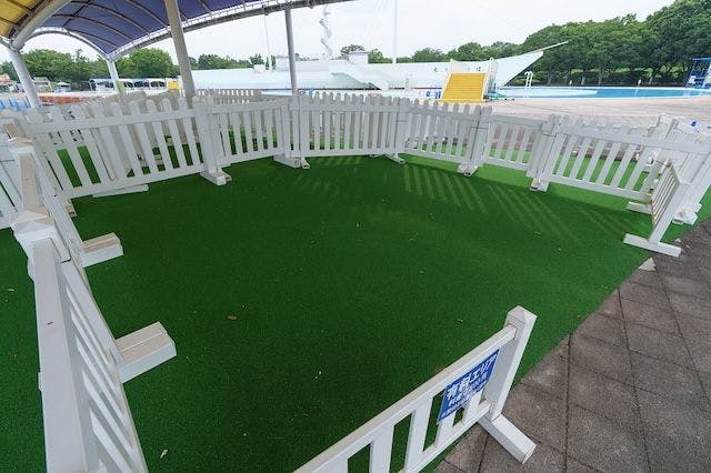 【リゾートエリア区画のみ／中央テントNo.44】川越水上公園夏季プール 有料席