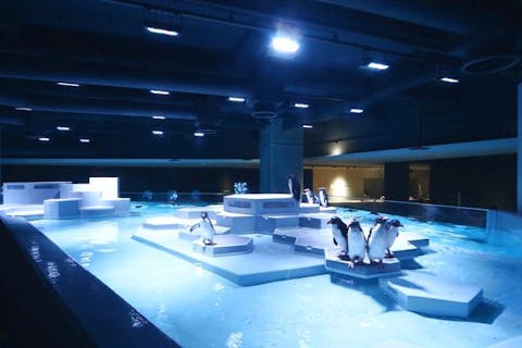 AOAO SAPPORO 入館券