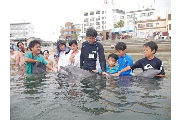 日間賀島ドルフィンビーチ