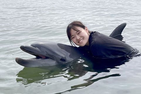ふれあいビーチ体験＆イルカとハグ