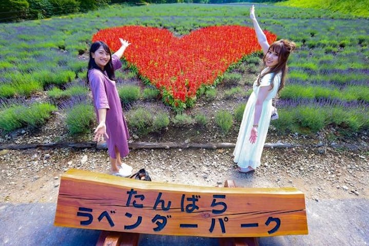 たんばらラベンダーパーク