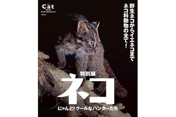 特別展「ネコ」 ～にゃんと！クールなハンターたち～｜割引チケット