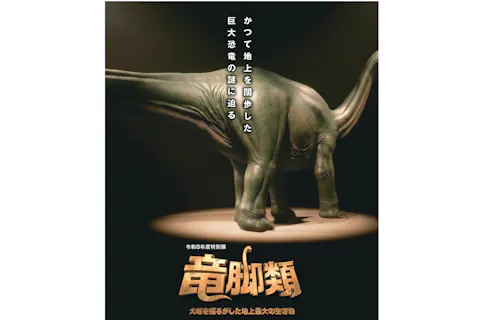 特別展＋常設展 観覧券