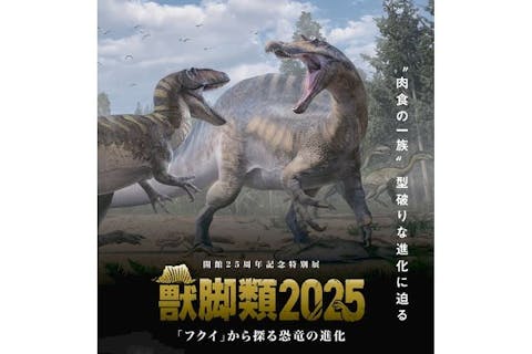 特別展＋常設展 観覧券