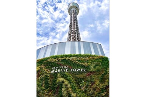 【平日(除く8/11-8/15) ・デイタイム】横浜マリンタワー展望台　展望フロアチケット