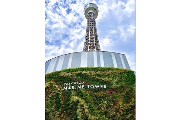 オリンピック記念タワー☆プレート ライトアップのお知らせ】国際アートフェア 東京現代 | 横浜