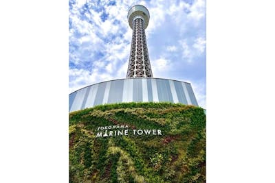 平日(除く8/11-8/15) ・デイタイム】横浜マリンタワー展望台 展望