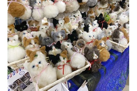 【当日券】にゃんだらけ in 名古屋 Vol.2　7/15（土）16（日）名古屋市中小企業振興会館