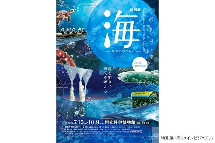 正規品】 特別展 海 ー 生命のみなもとー 国立科学博物館大人２枚