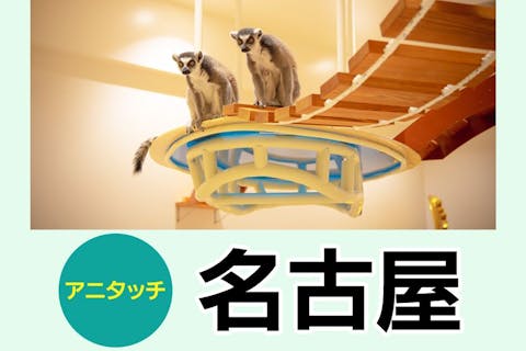 【100円割引】アニタッチららぽーと名古屋みなとアクルス 入場チケット