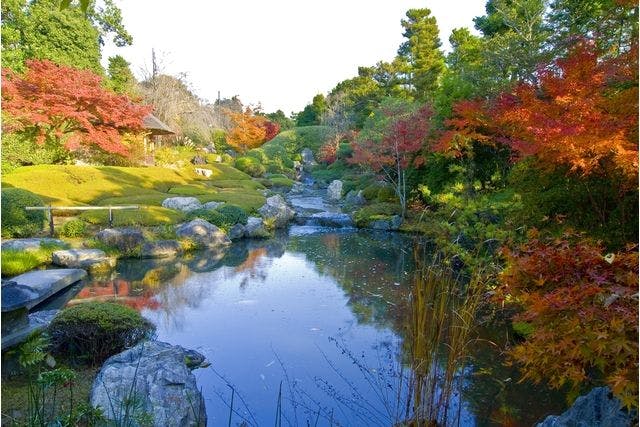 宗教法人退蔵院　電子前売り拝観チケット