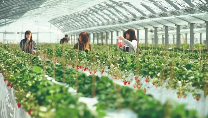 阿蘇熊本空港ホテルエミナース