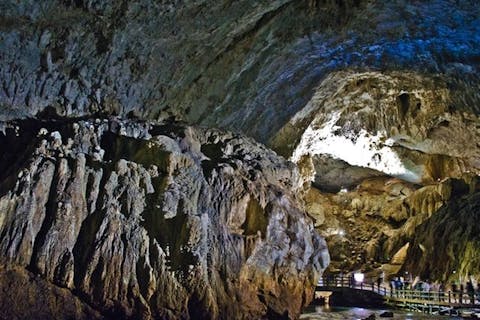 秋吉台の自然　秋吉台科学博物館 01.png