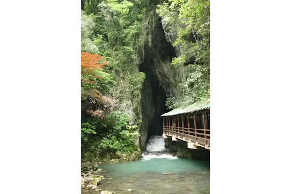 特別天然記念物 秋芳洞 入洞チケット｜アソビュー！