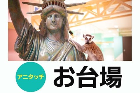 【100円割引・翌日より利用可】アニタッチアクアシティお台場 入場チケット