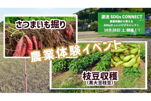 10/28（土）源流 SDGs CONNECT 　芋掘り・枝豆収穫チケット（芋3株　枝豆3株）