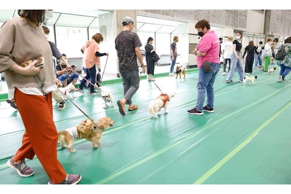 前売券】Pet博2023 大阪会場 Pet Exposition 2023 ＠インテックス大阪