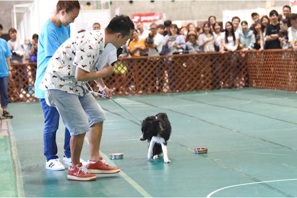 前売券】Pet博2023 大阪会場 Pet Exposition 2023 ＠インテックス大阪