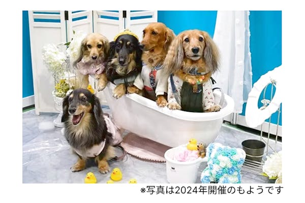 当日券】Pet博2025 ⼤阪 Pet Exposition 2025 ＠インテックス大阪