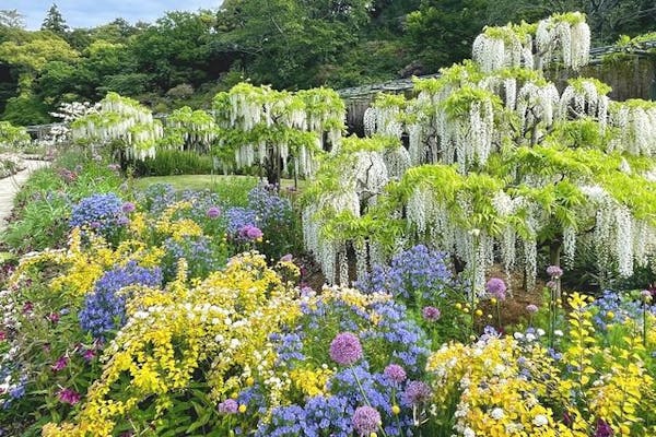 浜名湖花博2024（はままつフラワーパーク）入場券｜アソビュー！