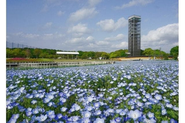 浜名湖花博 セット 3枚 浜名湖花博 コインセット 3枚 - メルカリ