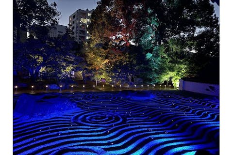 【前売券】博多旧市街ライトアップウォーク 2025 電子チケット