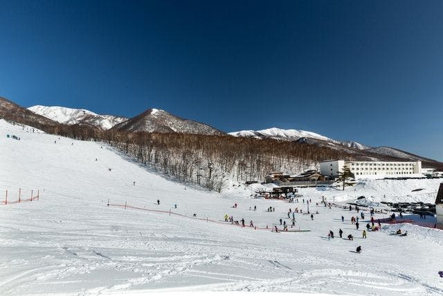 【第2弾・11/30まで・20％割引】網張温泉スキー場　早割リフト券