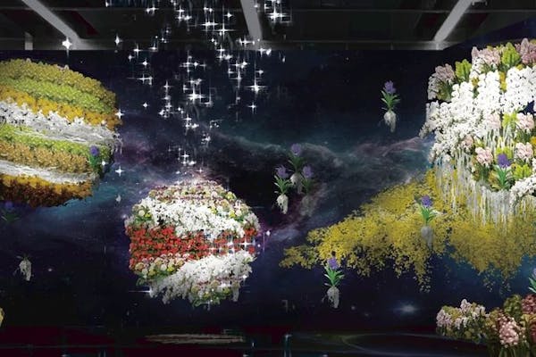 当日券】世界らん展 2024 -花と緑の祭典- ＠東京ドームシティ プリズム