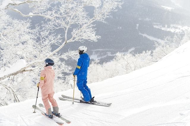 星野リゾート トマムスキー場 ペアリフト券・ご夕食招待券 小売