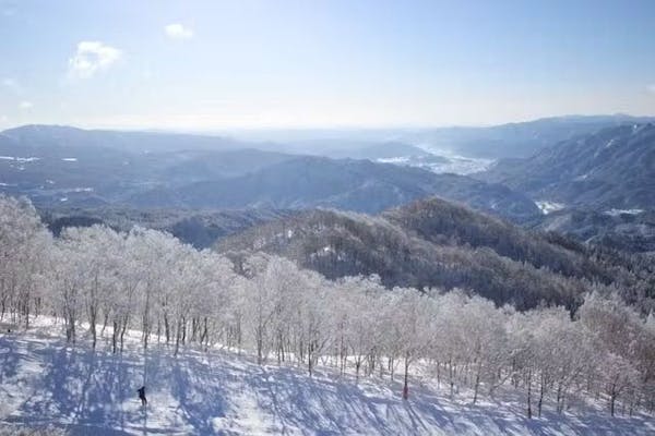 ウィングヒルズ白鳥リゾート全日リフト1日券 2025年3月末日まで(４枚セット) ウィングヒルズ白鳥リゾート全日リフト1日券 2025年3月末日まで(4