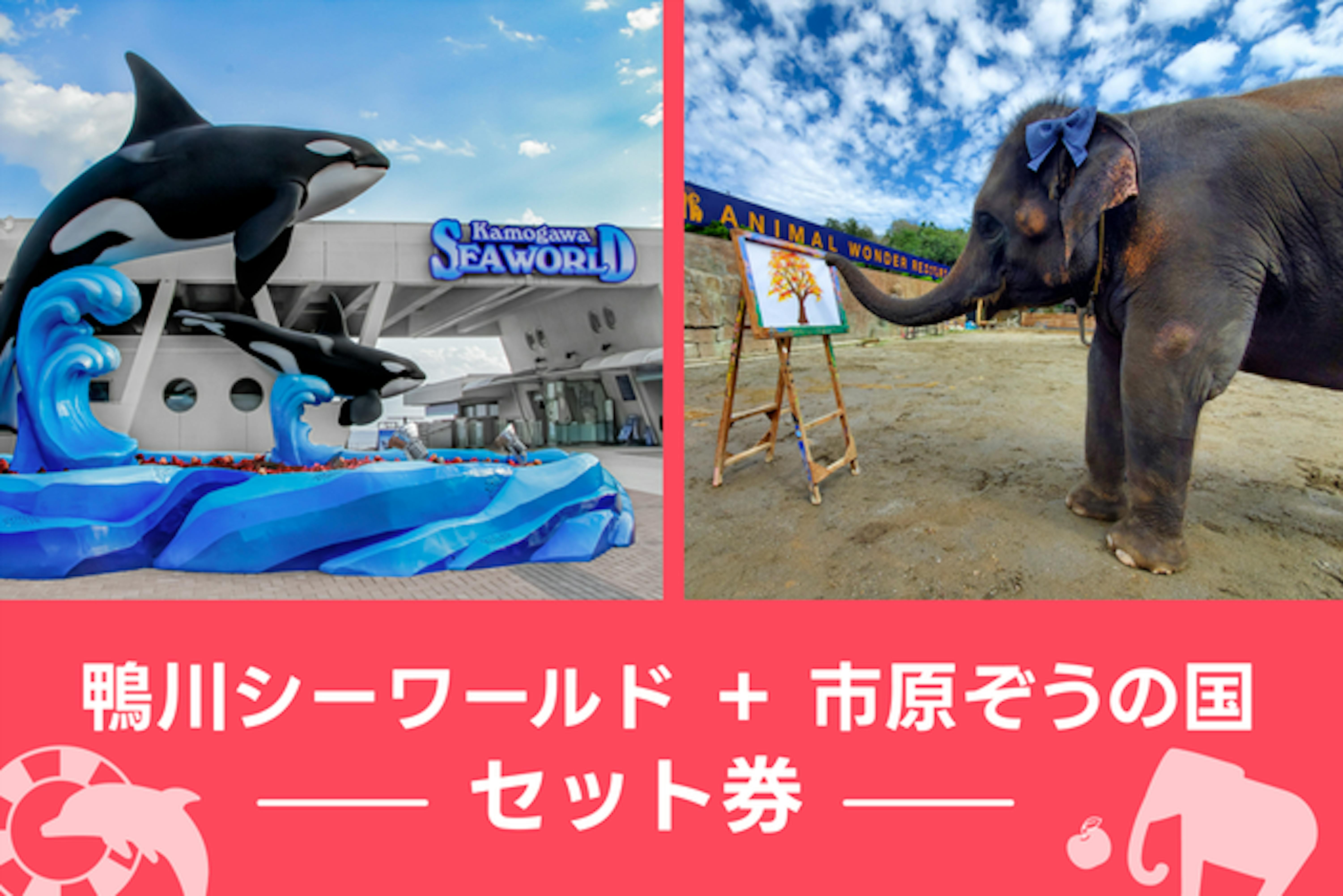 市原ぞうの国 チケット 2枚 - 動物園