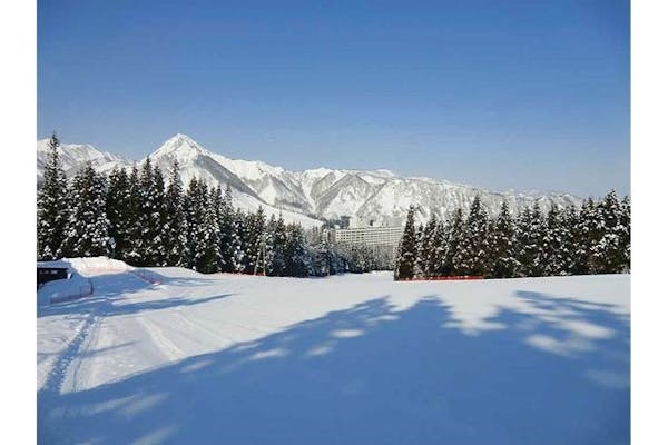 リフト券 半額券 湯沢中里 石打丸山スキー場 - スキー場