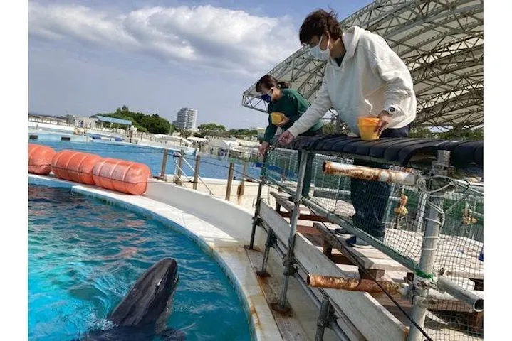 沖縄美ら海水族館（館内体験）