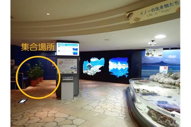 沖縄美ら海水族館 【裏側まるごとウォッチング】 - 沖縄美ら海水族館