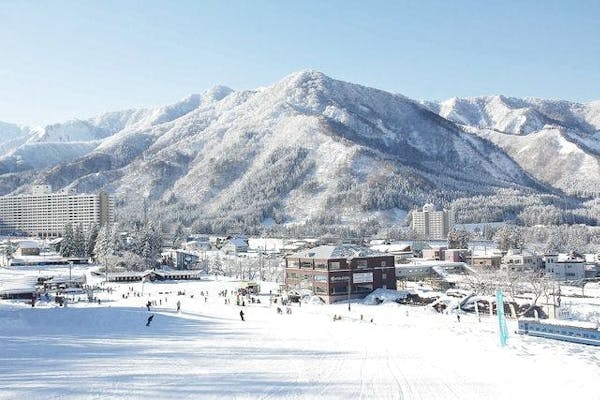 舞子スノーリゾート及び湯沢中里スキー場他 1日リフト券4枚 - スキー場