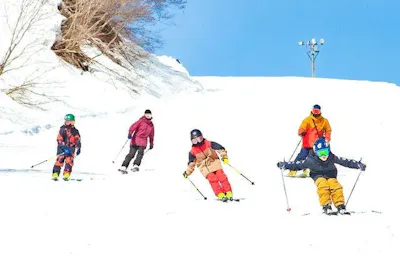 8000円　湯沢中里スノーリゾート リフト1日券 × 2枚 全日利用可・最大400円割引】湯沢中里スノーリゾート 前売りリフト1日