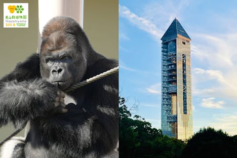 【12月分】東山動植物園・スカイタワー共通券（電子チケット）