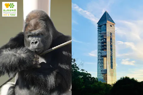 【5月分】東山動植物園・スカイタワー共通券（電子チケット）