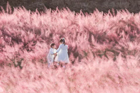 そらの花畑 世羅高原花の森「ローズ＆フラワーガーデン(秋の開園)」