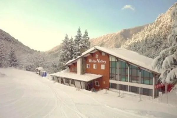 スキー場1日リフト券　ホワイトバレー　2枚 HAKUBA VALLEY 10スキー場共通1日券（2枚） - 長野県小谷村｜ふるさと
