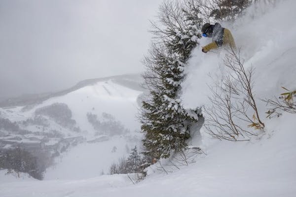 志賀高原マウンテンリゾート 全山 共通リフト券 ２枚 大人 - スキー場