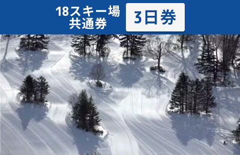 【全日利用可】志賀高原マウンテンリゾート　18スキー場共通 リフト3日券