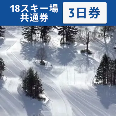 全日利用可】志賀高原マウンテンリゾート 18スキー場共通 リフト3日券 全日利用可】志賀高原マウンテンリゾート 18スキー場共通 リフト3日券