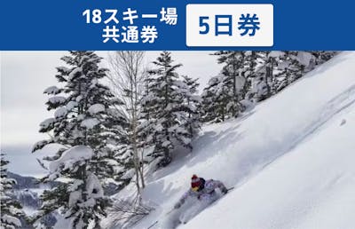 全日利用可】志賀高原マウンテンリゾート 18スキー場共通 リフト5日券